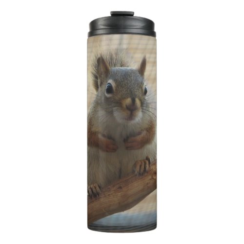 Cute Crouching Squirrel on Branch Thermal Tumbler