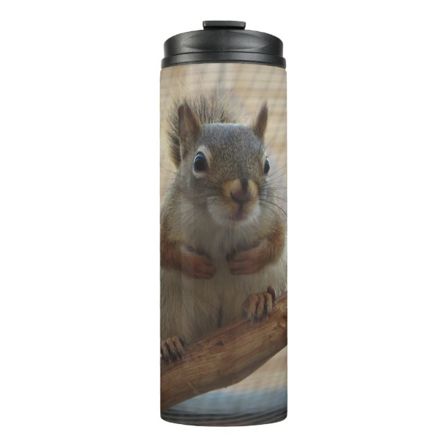 Cute Crouching Squirrel on Branch Thermal Tumbler (Front)