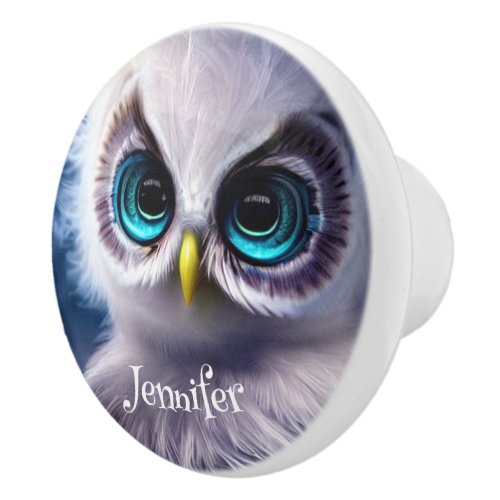 Cute crystal blue eye baby owl custom name ceramic knob