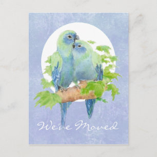 Cute Cuddling Tropical Parrots Address New Home Announcement Postcard
