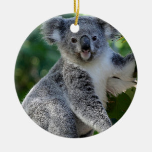 Cute cuddly Australian koala Ceramic Ornament