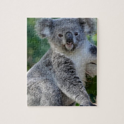 Cute cuddly Australian koala Jigsaw Puzzle