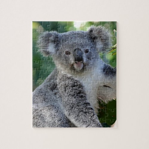 Cute cuddly Australian koala Jigsaw Puzzle