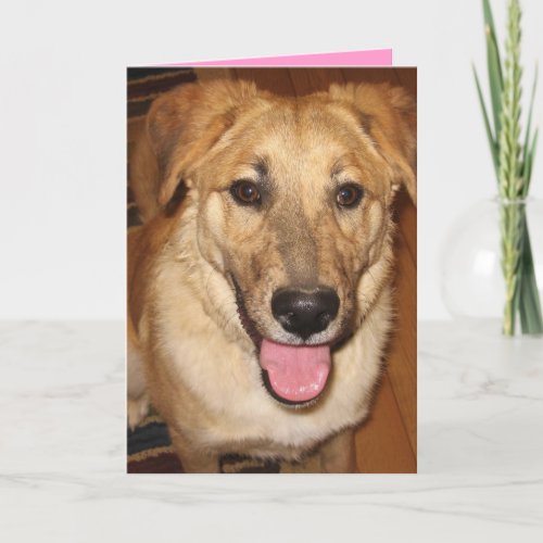 Cute Cuddly  Available _ Dog Lover Valentine Holiday Card