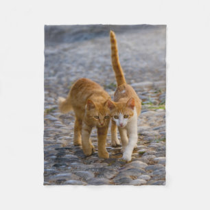 Cute Cuddly Cat Kittens Friends Stony Path Photo - Fleece Blanket