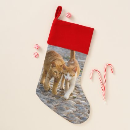 Cute Cuddly Cats Kittens Friends Stony Path Photo Christmas Stocking