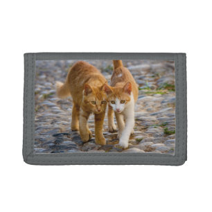 Cute Cuddly Cats Kittens Friends Stony Path Photo Tri-fold Wallet