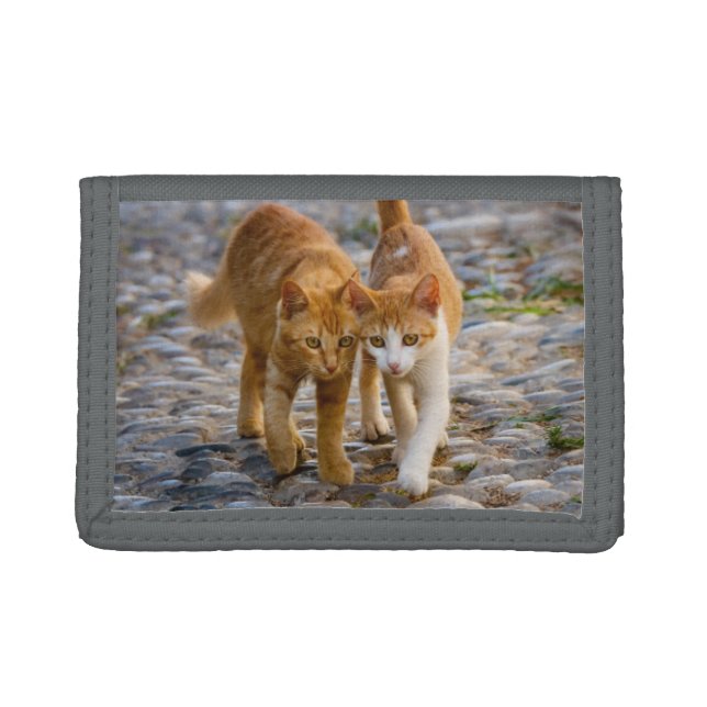 Cute Cuddly Cats Kittens Friends Stony Path Photo Trifold Wallet (Front)