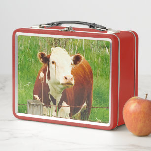 Cute Cuddly Cow 4Caley Metal Lunch Box