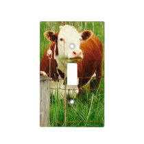Cute Cuddly Cow 4Cara Light Switch Cover