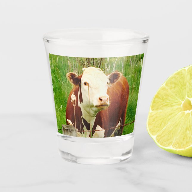 Cute Cuddly Cow 4Cate Shot Glass (Front)