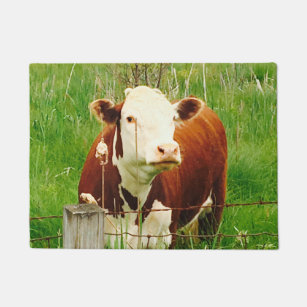Cute Cuddly Cow Brown Green Grass Door Mat2 Doormat