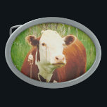 Cute Cuddly Cow Brown Green Oval Belt Buckle<br><div class="desc">You will love our adorable Cow Design! Makes a great gift!</div>
