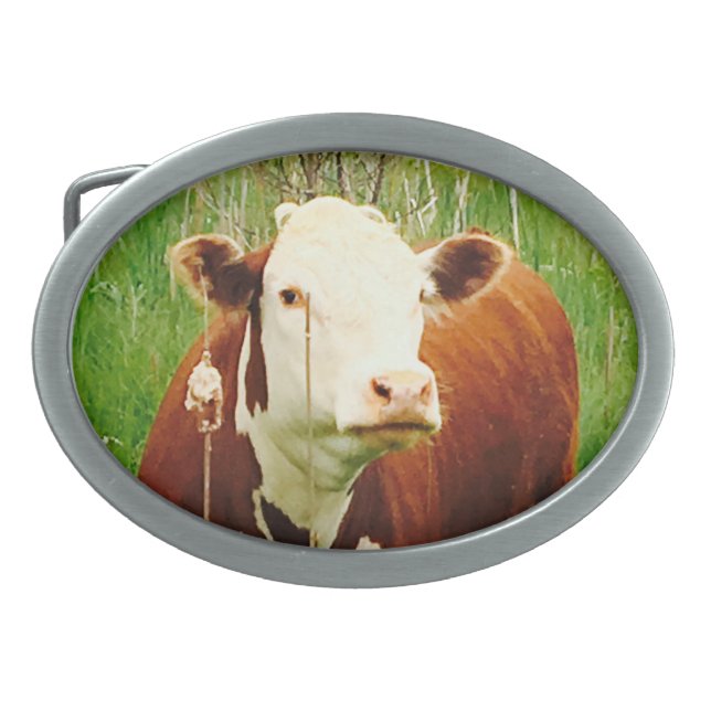 Cute Cuddly Cow Brown Green Oval Belt Buckle (Front)