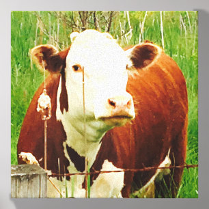 Cute Cuddly Cow Friend 4Jeremy Canvas Photo Tile