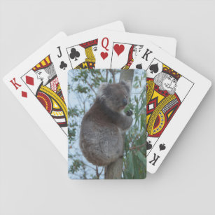 Cute Cuddly Koala Tree Animal Wildlife Australia Playing Cards