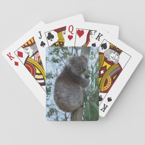 Cute Cuddly Koala Tree Animal Wildlife Australia Poker Cards