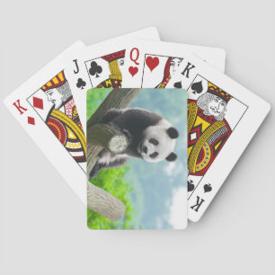 Cute Cuddly Panda Bear Sitting on a Tree Branch Poker Cards