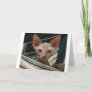 Cute curios sphynx kitten card