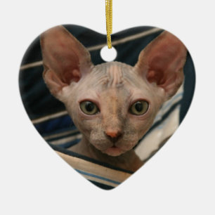 Cute curios sphynx kitten ceramic ornament