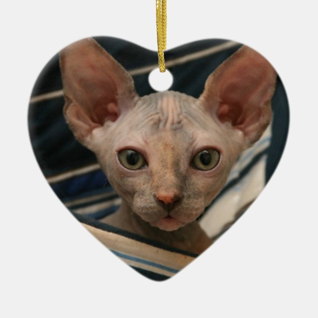Cute curios sphynx kitten ceramic ornament (Front)