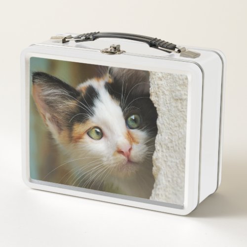 Cute Curious Cat Kitten Prying Eyes Head Photo Pet Metal Lunch Box