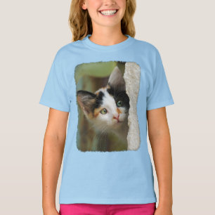 Cute Curious Cat Kitten Prying Eyes Photo - Raglan T-Shirt