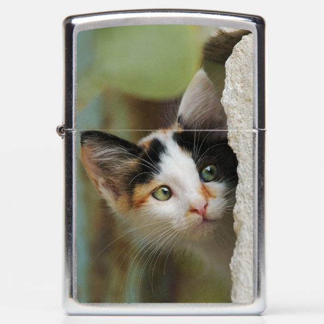 Cute Curious Cat Kitten Prying Eyes - windproof Zippo Lighter (Front)