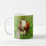 Cute Curious Cow Brown Green 4Mal Coffee Mug