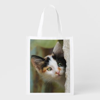 Cute Curious Kitten Prying Eyes Portrait Reuseable Grocery Bag by Kathom_Photo at Zazzle