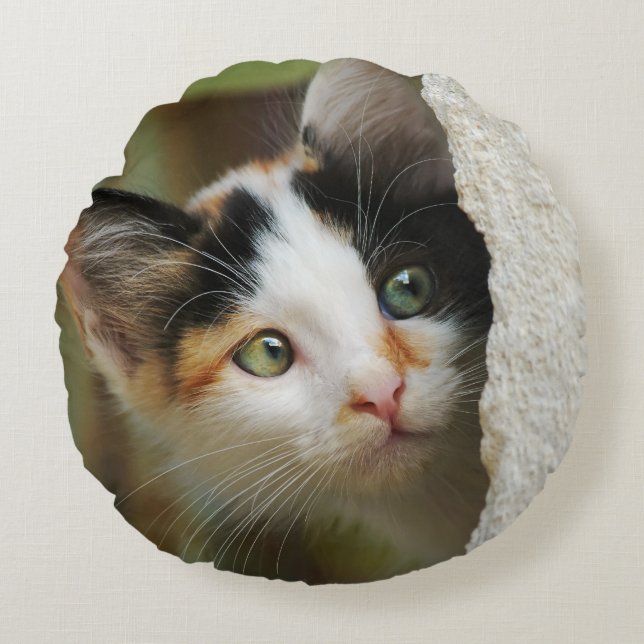 Cute Curious Kitten Prying Eyes, smooth Round Pillow (Front)