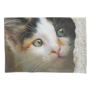 Cute Curious Kitten with Prying Eyes Photo - Pillow Case