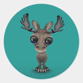 Cute Curious Moose With Big Eyes On Turquoise Classic Round Sticker by crazycreatures at Zazzle