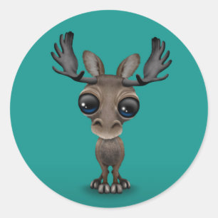 Cute Curious Moose with Big Eyes on Turquoise Classic Round Sticker