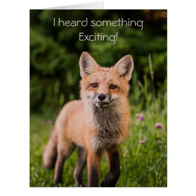 Cute Curious Red Fox Birthday Cards (Front)