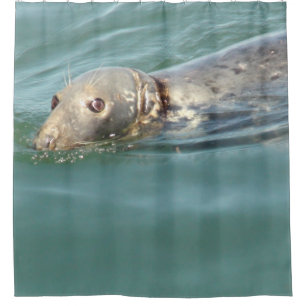 Cute Curious Seal Looking at you Shower Curtain