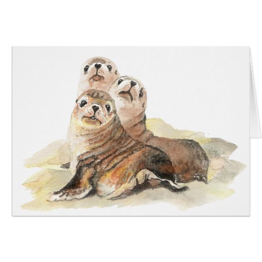 Cute Curious Seals, Watercolor Animals (Front Horizontal)