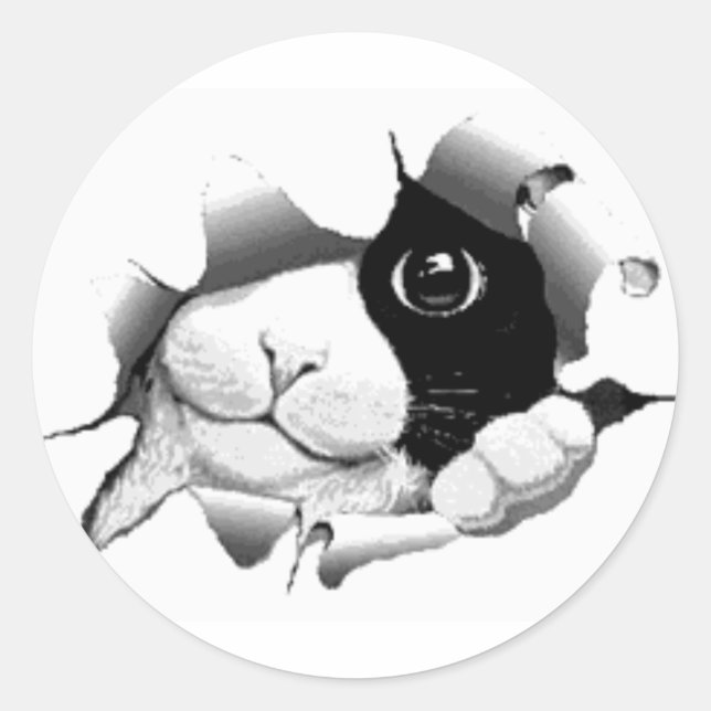 Cute curious sneaky cat kitten graphic classic round sticker (Front)