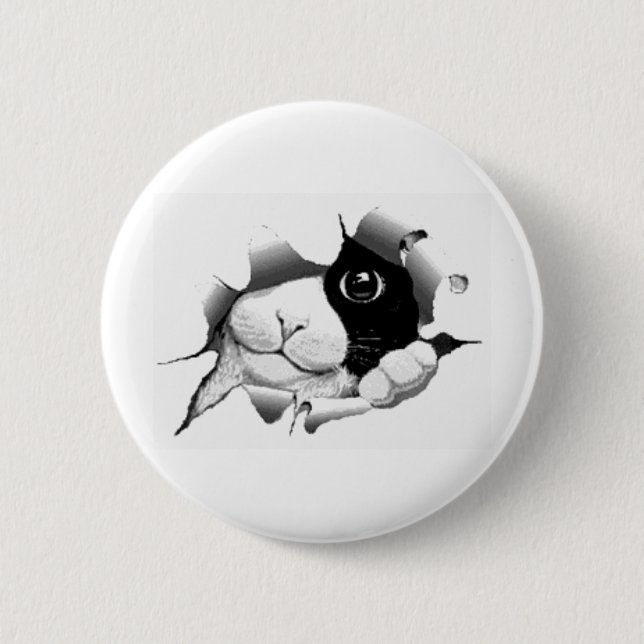 Cute curious sneaky cat kitten graphic pinback button (Front)