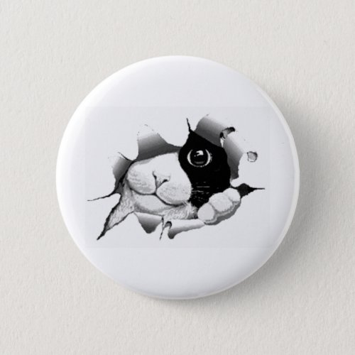 Cute curious sneaky cat kitten graphic pinback button