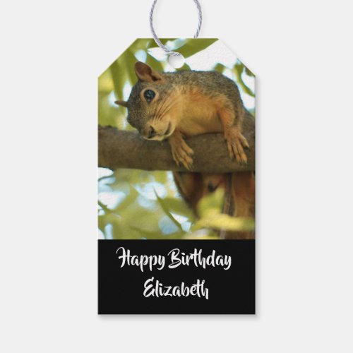 Cute  Curious Squirrel Nature Photo _ Birthday Gift Tags