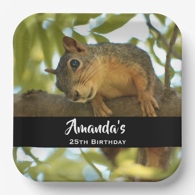 Cute & Curious Squirrel Nature Photo - Birthday Paper Plates (Front)