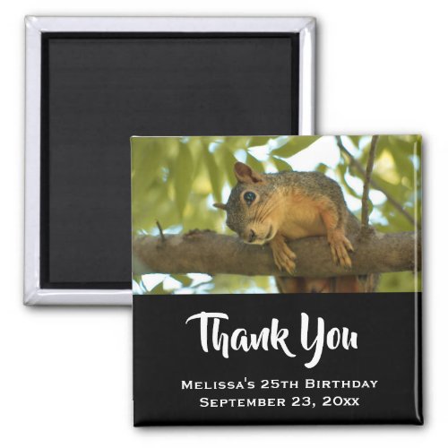 Cute  Curious Squirrel Nature Photo _ Thank You Magnet