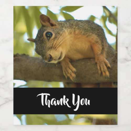 Cute  Curious Squirrel Nature Photo _ Thank You Wine Label