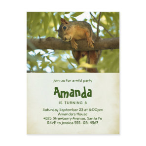Cute Curious Squirrel Nature Photography Birthday Invitation Postcard