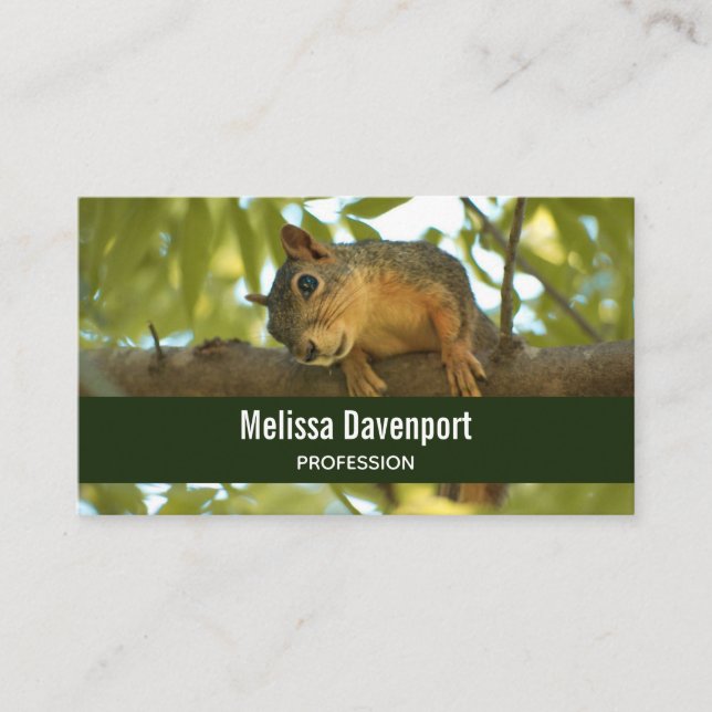 Cute Curious Squirrel Nature Photography Business Card (Front)