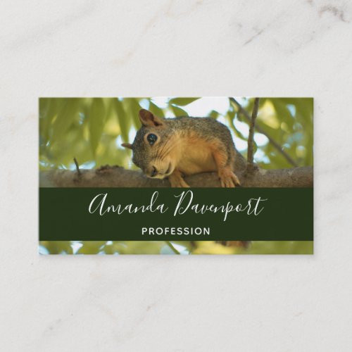 Cute Curious Squirrel Nature Photography Business Card