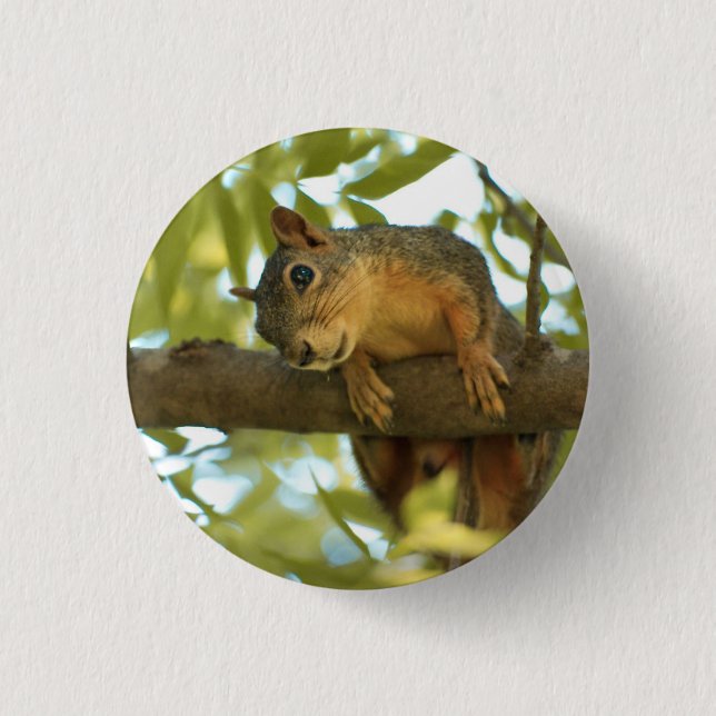 Cute & Curious Squirrel Nature Photography Button (Front)