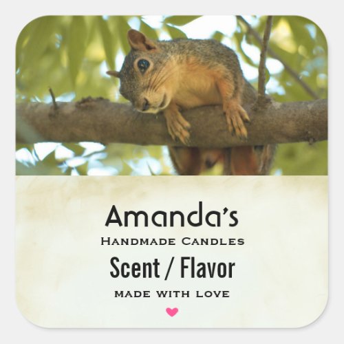 Cute  Curious Squirrel Nature Photography Candle Square Sticker