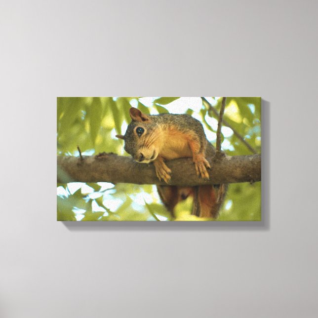Cute & Curious Squirrel Nature Photography Canvas Print (Front)